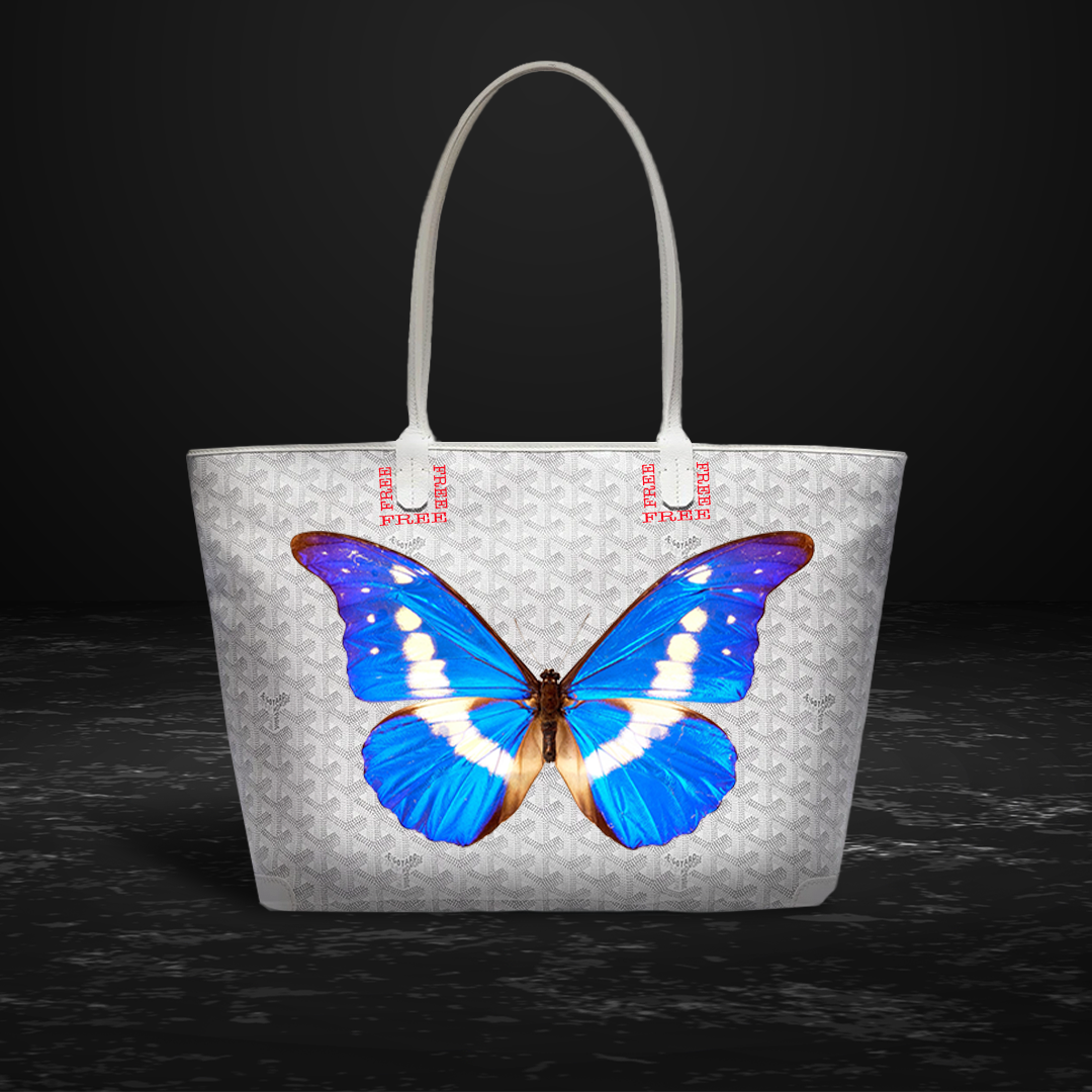 Goyard Customized Blue 'Butterflies' Monogram St Louis PM Bag at